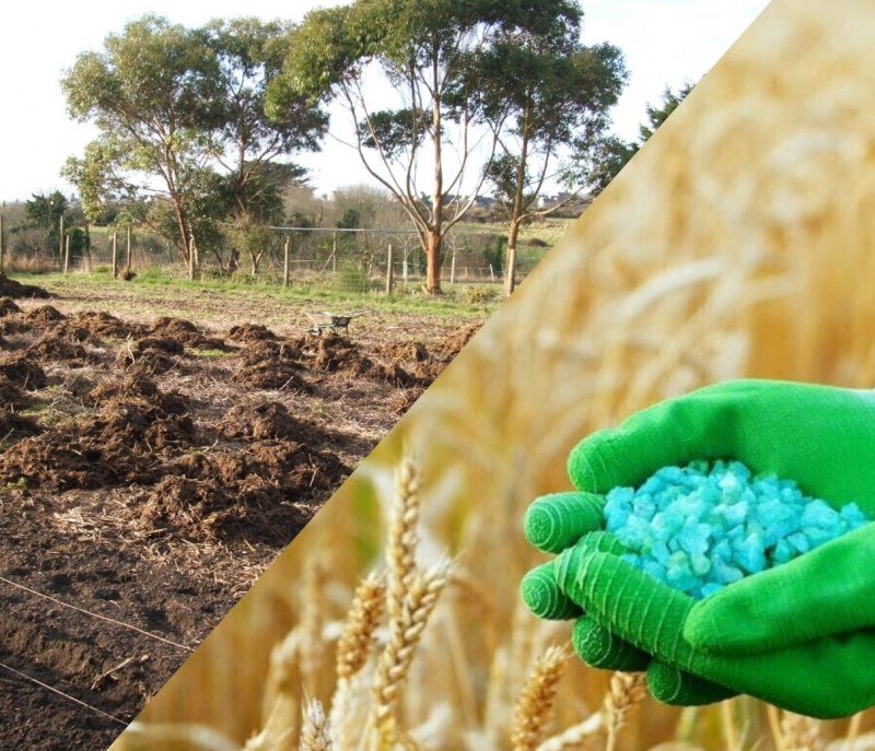 Органические VS минеральные удобрения: что эффективнее?