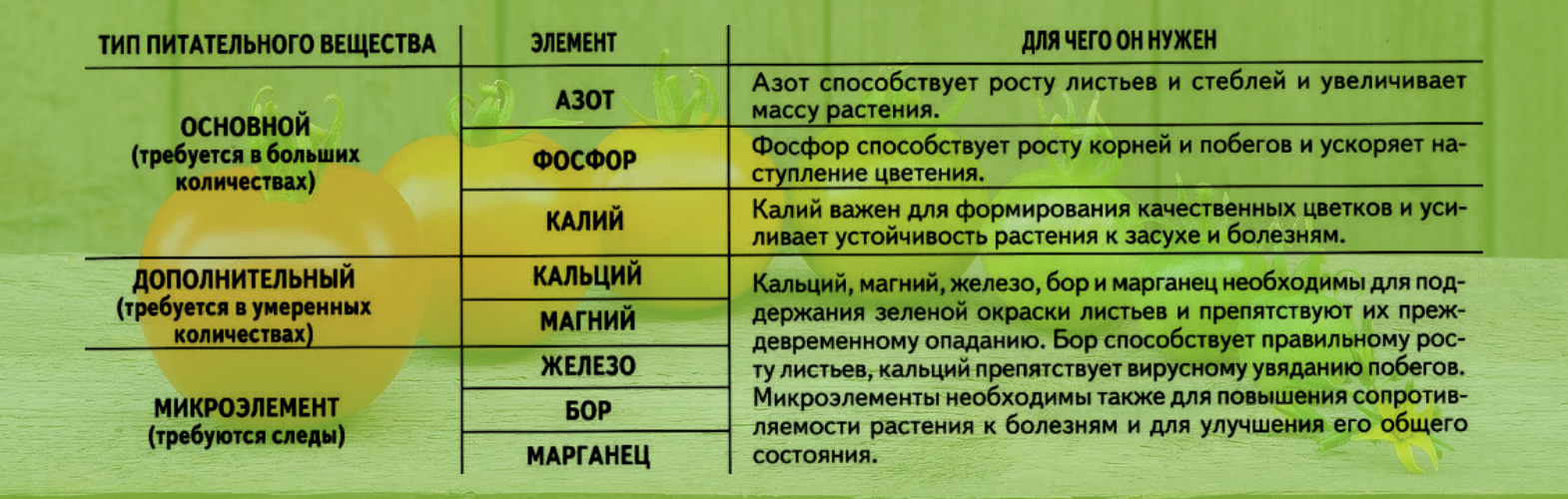 54920_02.jpg 54920_02.jpg