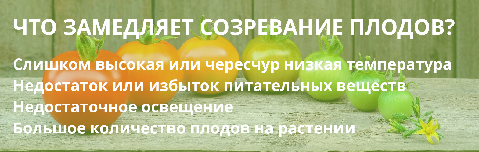 54920_01.jpg 54920_01.jpg