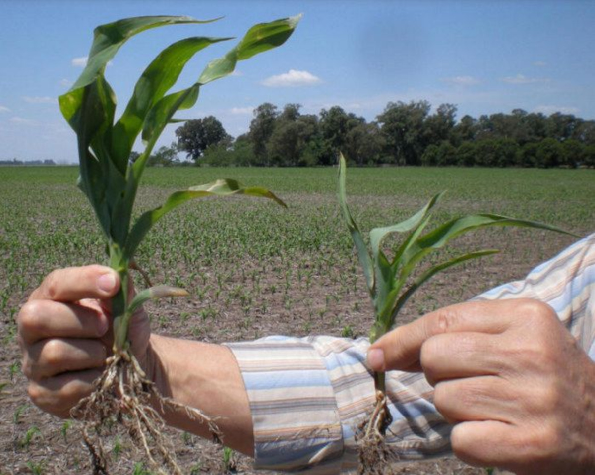 55720_02.jpg 55720_02.jpg