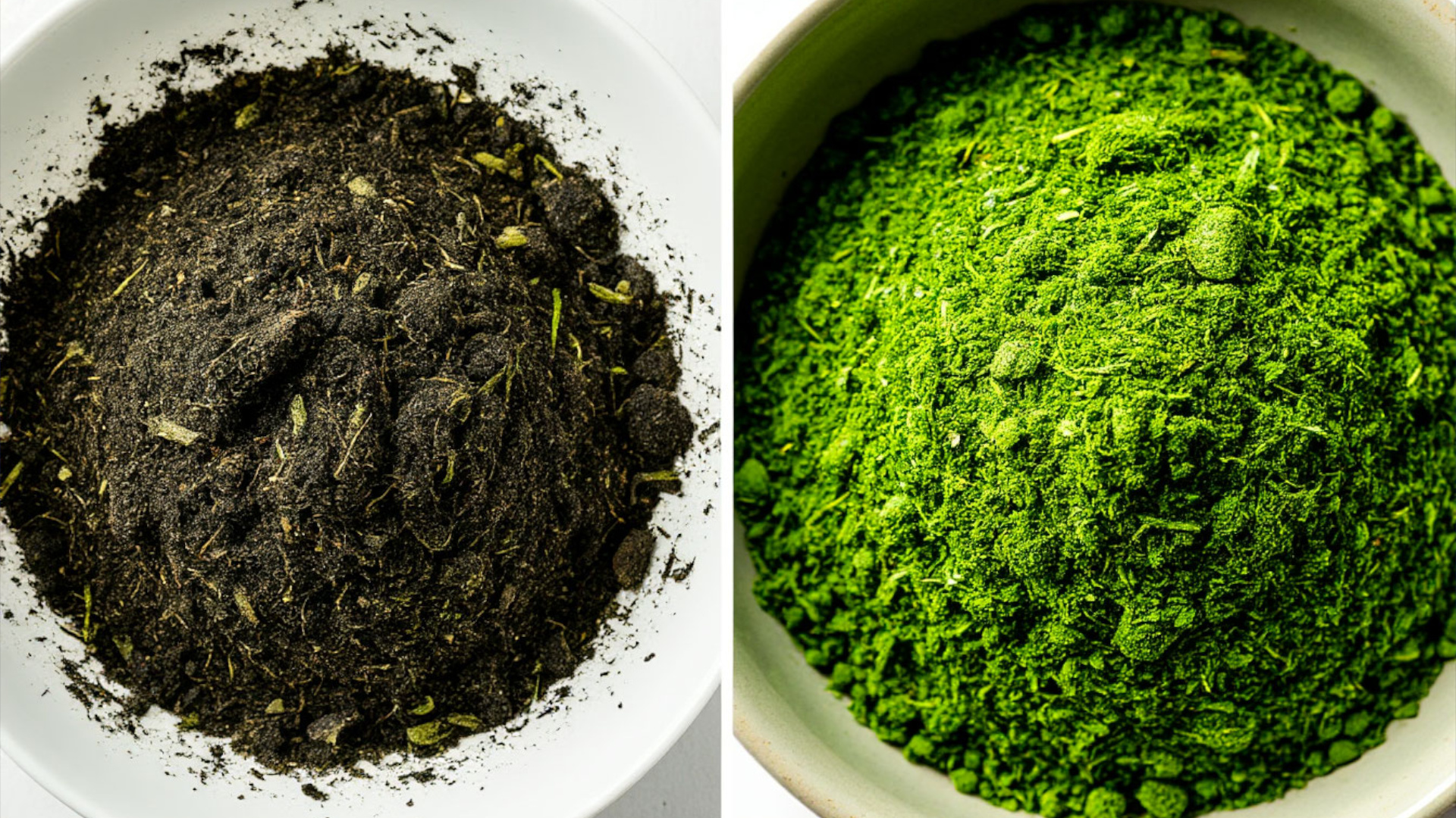 Разница между силосом под барьерной и обычной пленкой через 6 месяцев хранения. Разница между силосом под барьерной и обычной пленкой через 6 месяцев хранения.