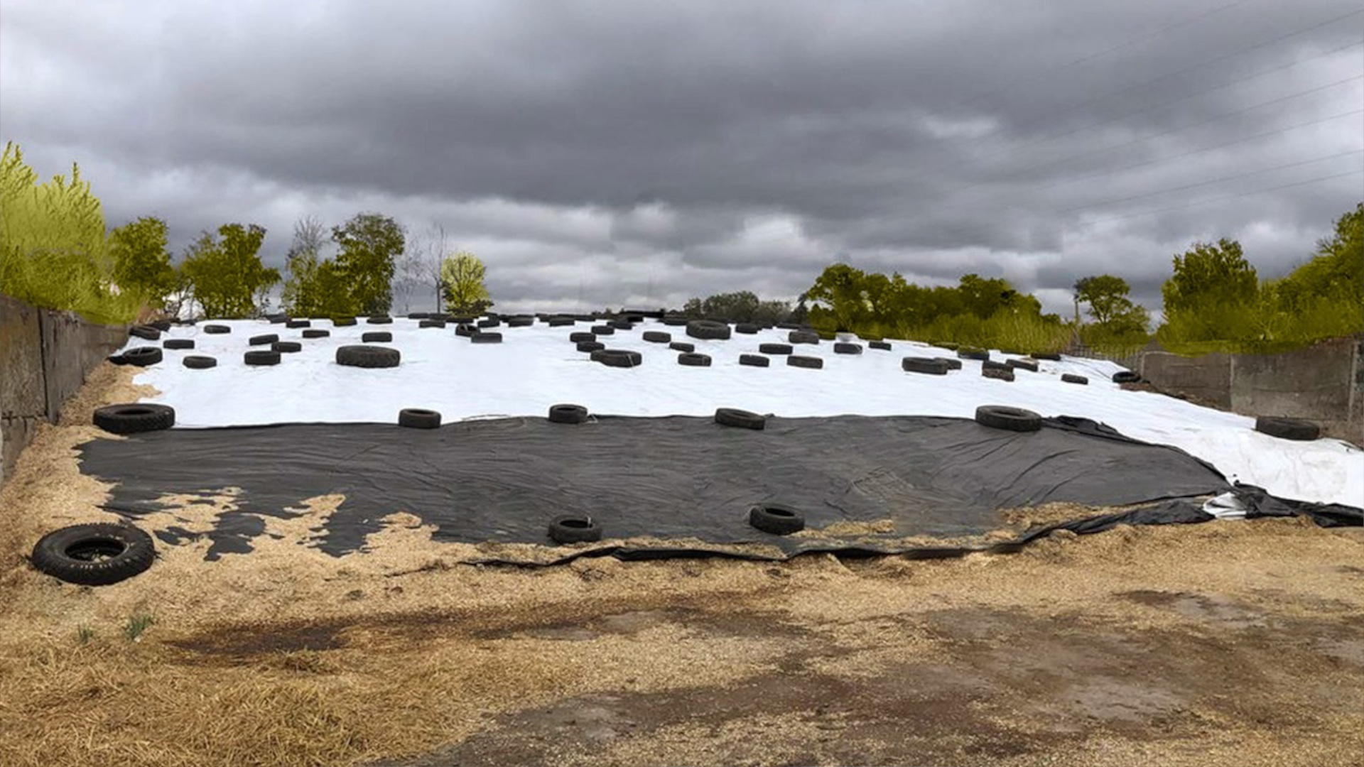 Белая пленка снижает нагрев поверхности на 25-30°C в жаркую погоду. Белая пленка снижает нагрев поверхности на 25-30°C в жаркую погоду.